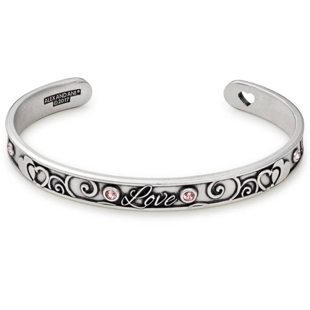 Alex and Ani Bracelet